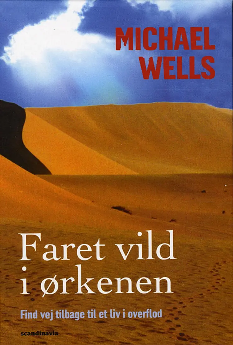 Faret vild i ørkenen af Michael Wells