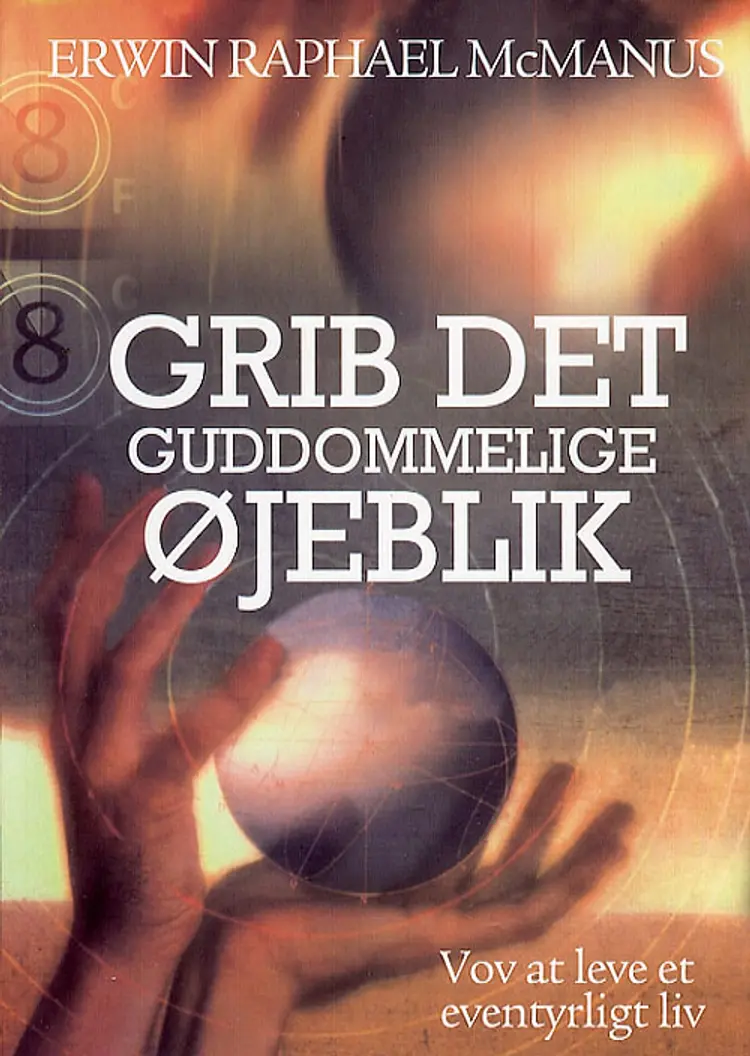 Grib det guddommelige øjeblik! af Erwin Raphael McManus
