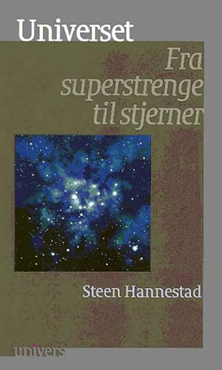Universet af Steen Hannestad