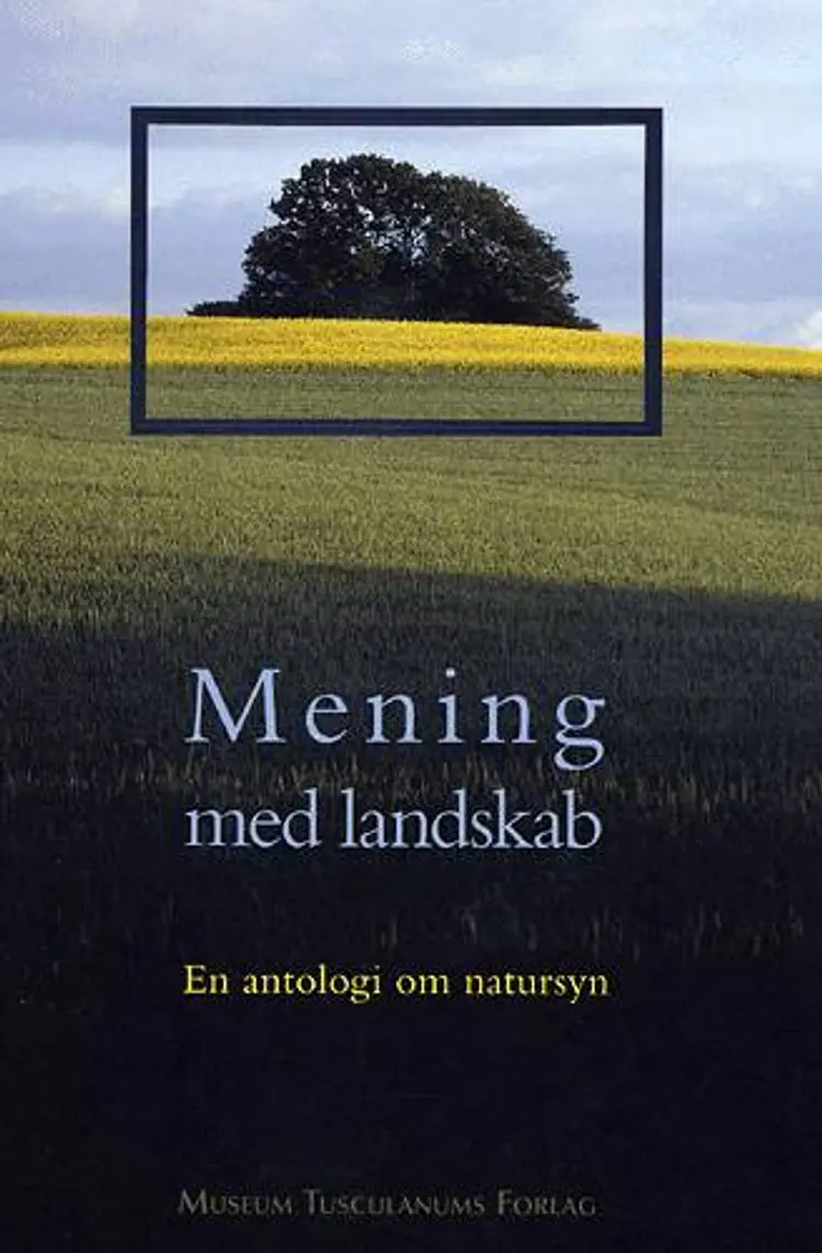 Mening med landskab