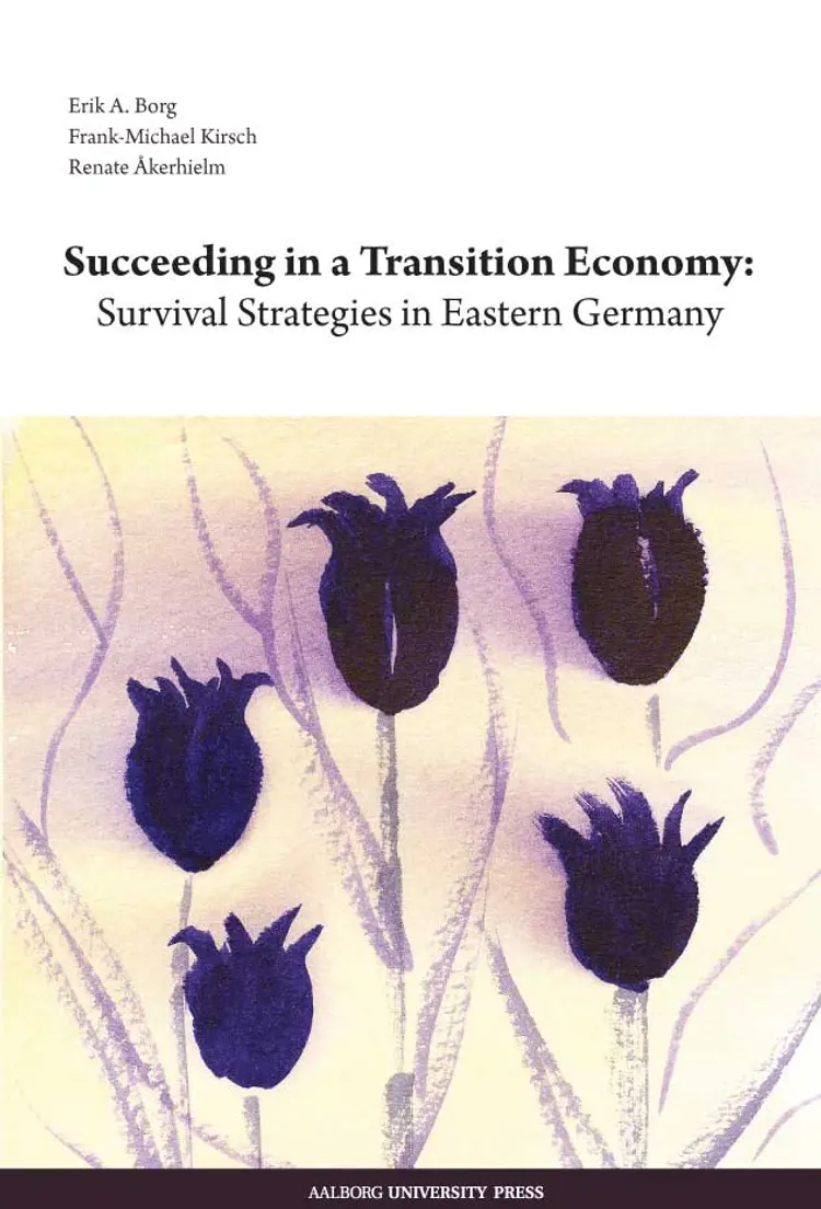 Succeeding in a transition economy af Frank-Michael Kirsch