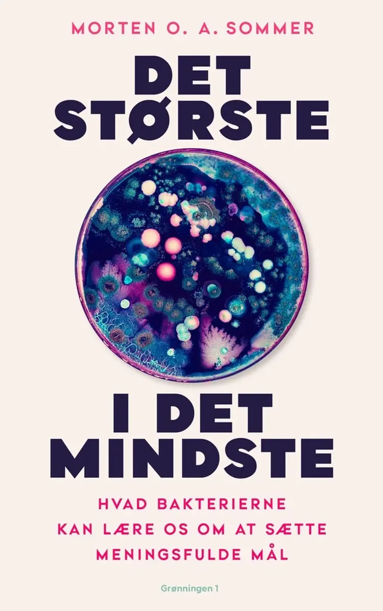 Det største i det mindste af Morten O.A. Sommer