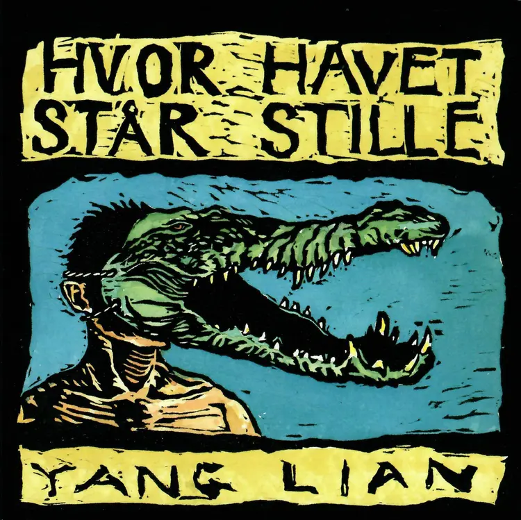 Hvor havet står stille af Lian Yang