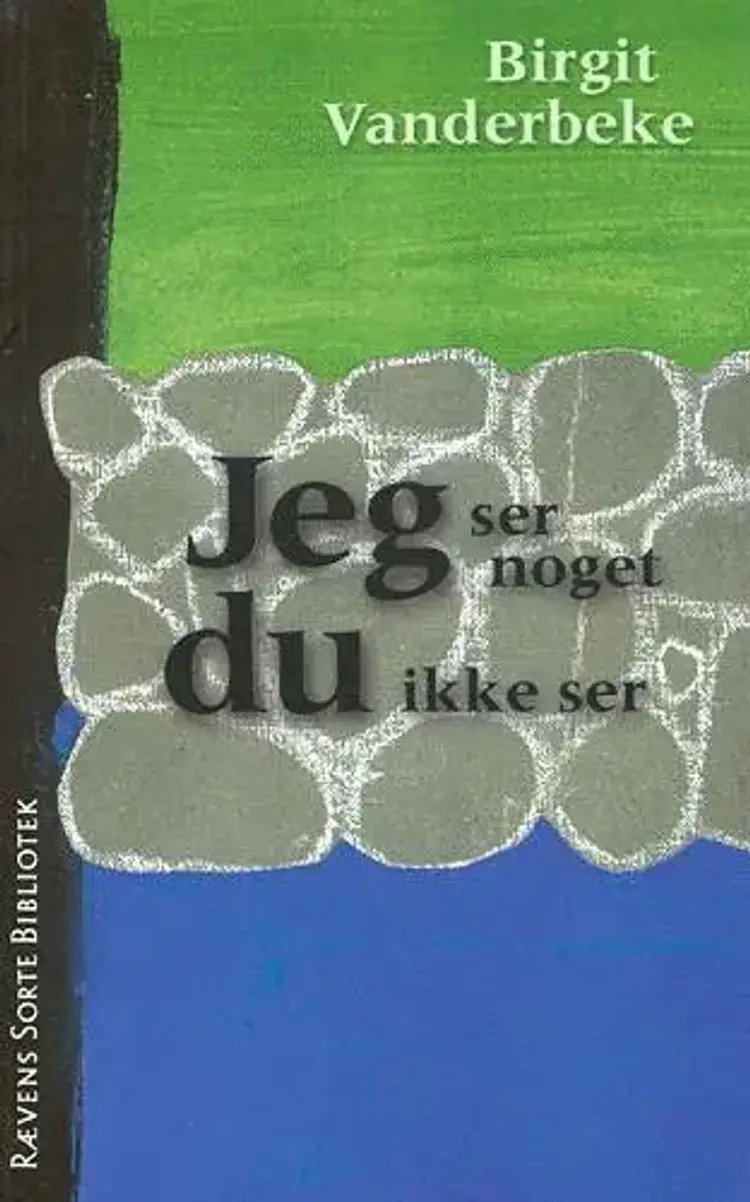 Jeg ser noget du ikke ser af Birgit Vanderbeke