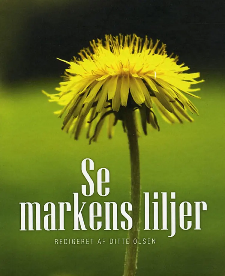 Se markens liljer af Jesus