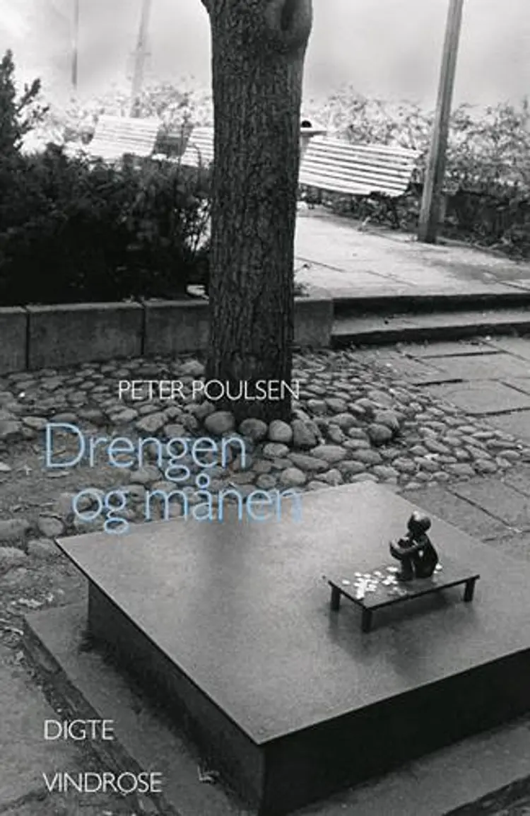 Drengen og månen af Peter Poulsen