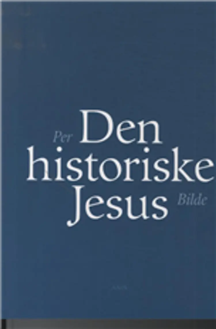 Den historiske Jesus af Per Bilde