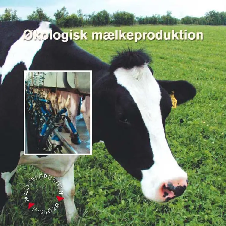 Økologisk mælkeproduktion af Peter Stamp Enemark