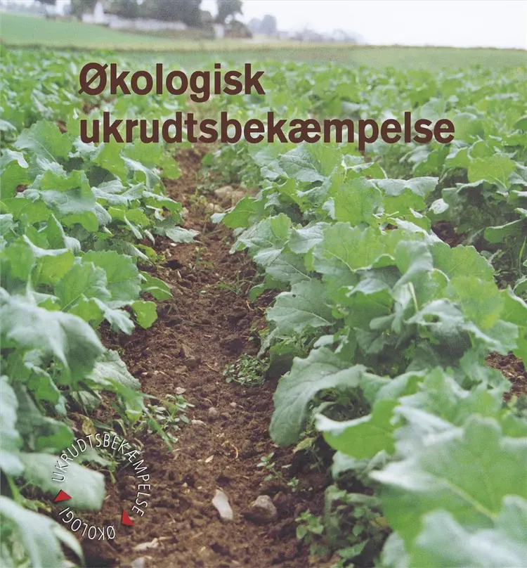 Økologisk ukrudtsbekæmpelse af Inger Bertelsen