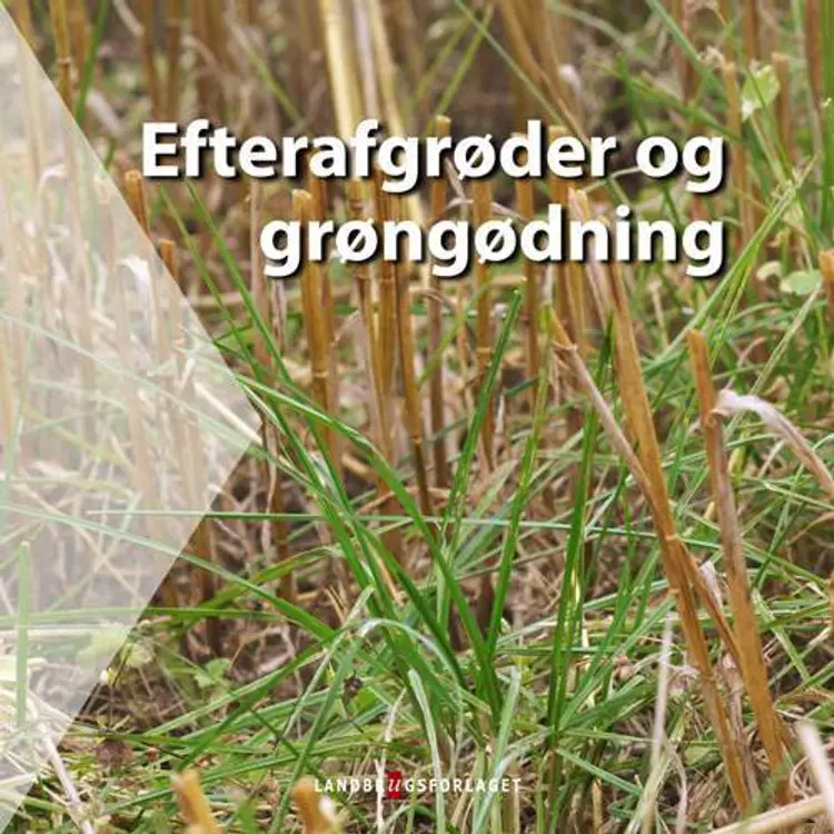 Efterafgrøder og grøngødning af Michael Tersbøl