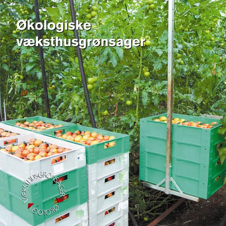 Økologiske væksthusgrønsager af Steen Borregaard