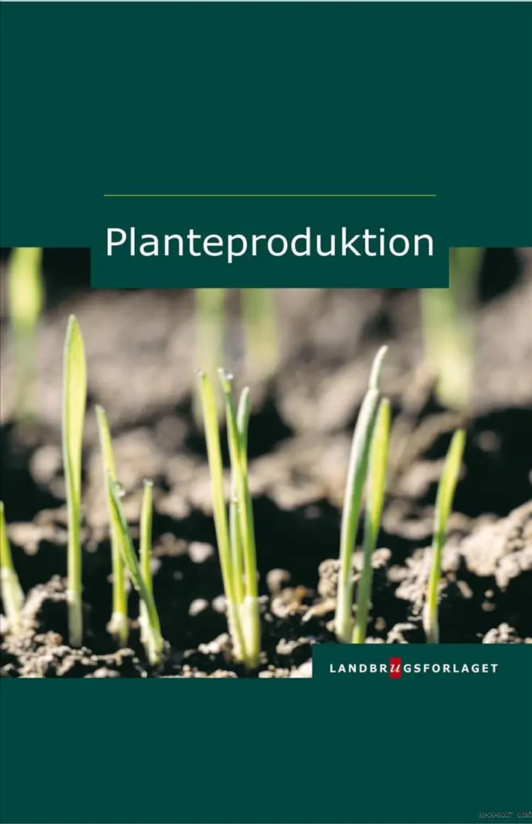 Planteproduktion af Lotte B. Ipsen