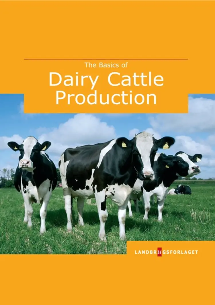 The basics of dairy cattle production af Dorte Marcussen