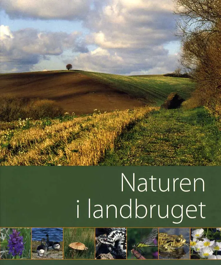 Naturen i landbruget af Heidi Buur Holbeck