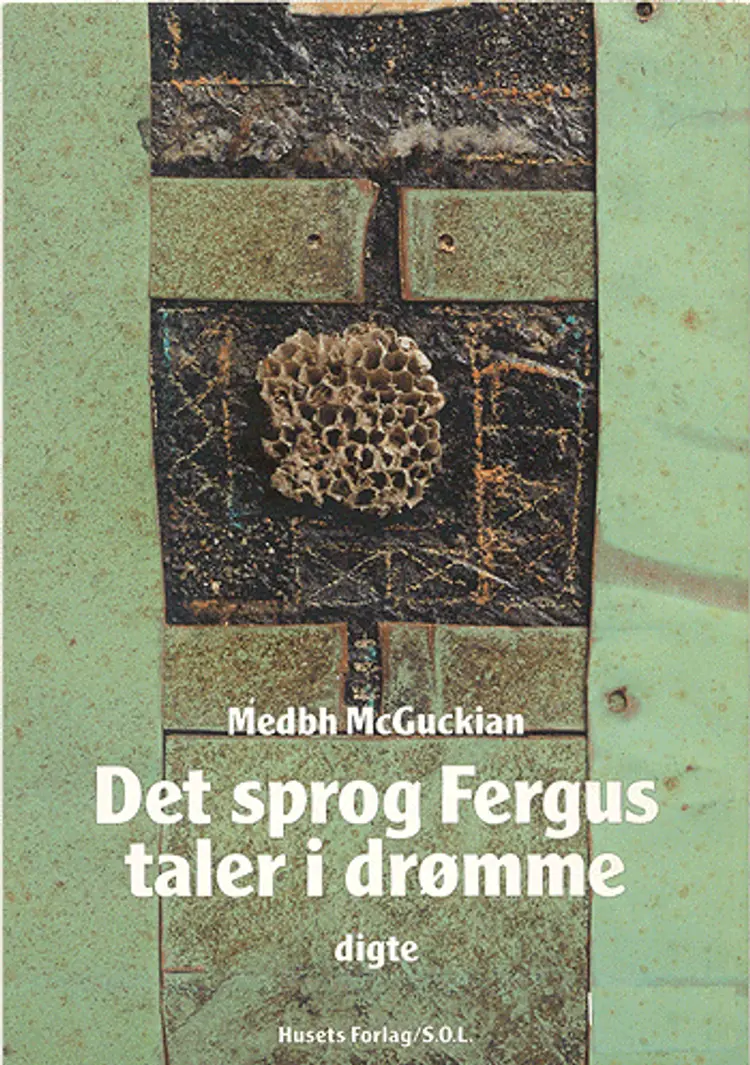 Det sprog Fergus taler i drømme af Medbh McGuckian