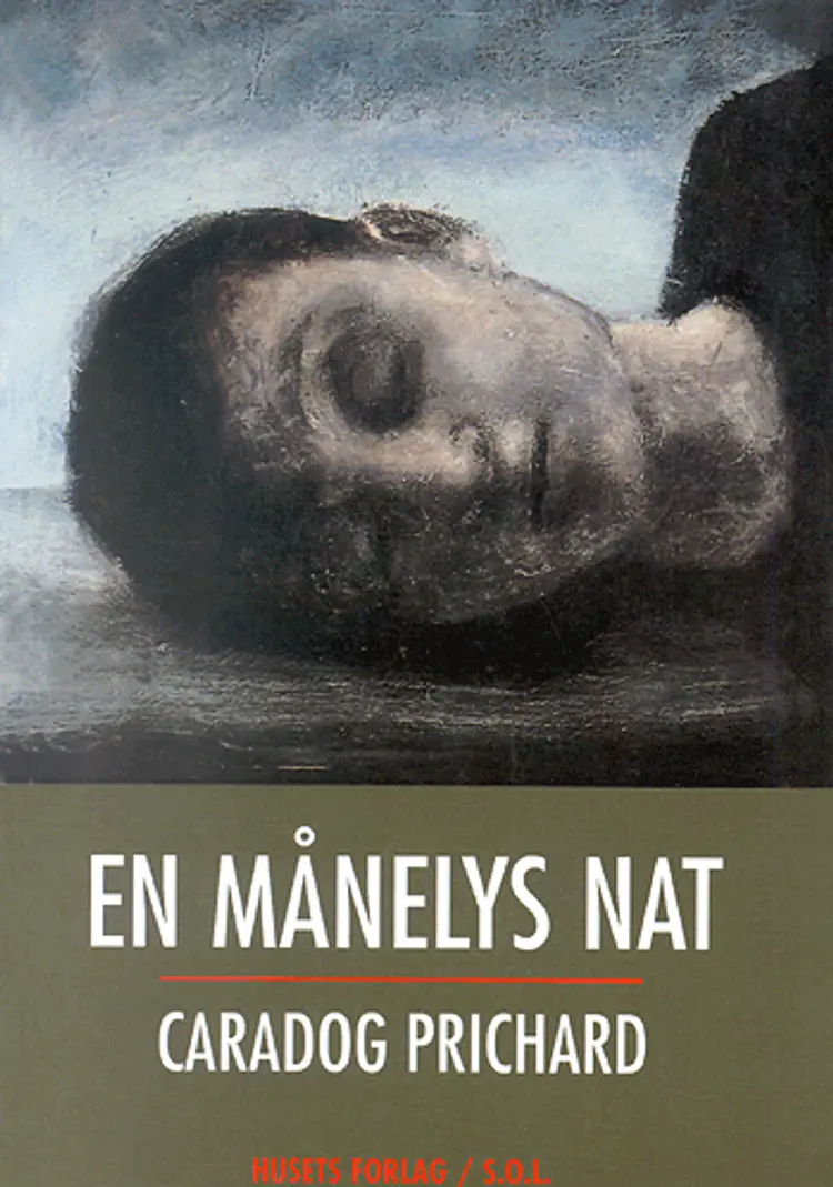 En månelys nat af Caradog Prichard