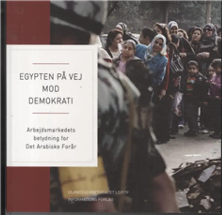 Egypten på vej mod demokrati af Div. forfattere