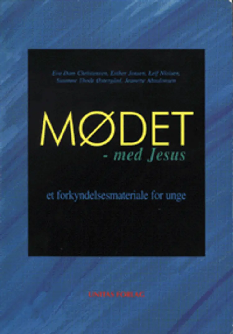 Mødet med Jesus af Eva Dam Christensen