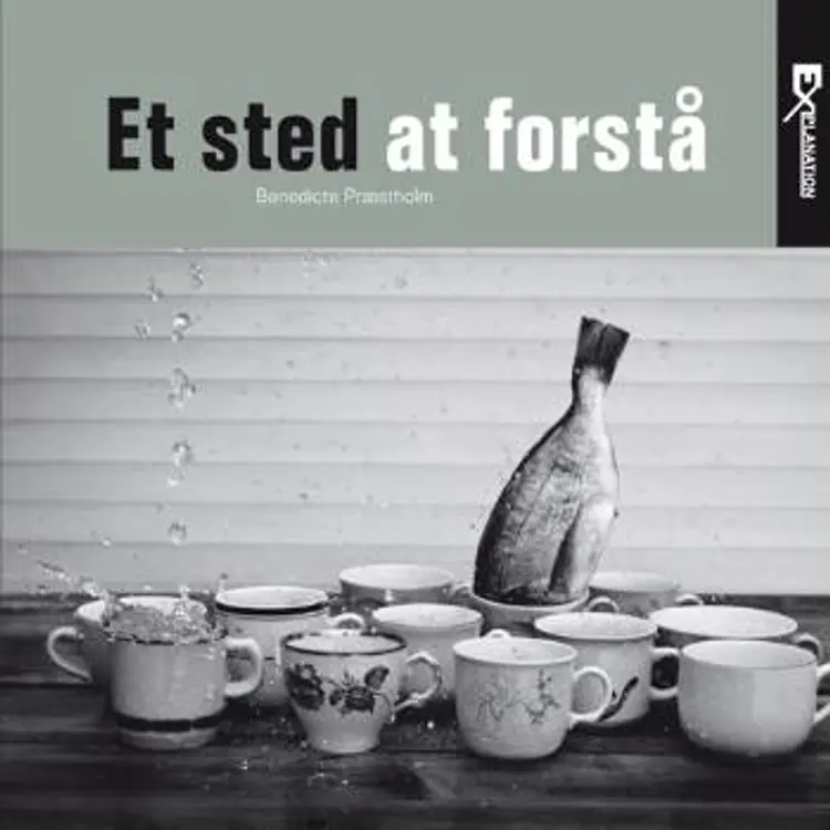 Et sted at forstå af Benedicte Præstholm