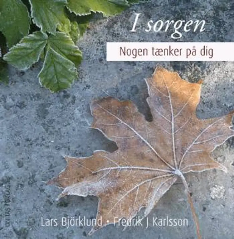 I sorgen af Lars Björklund