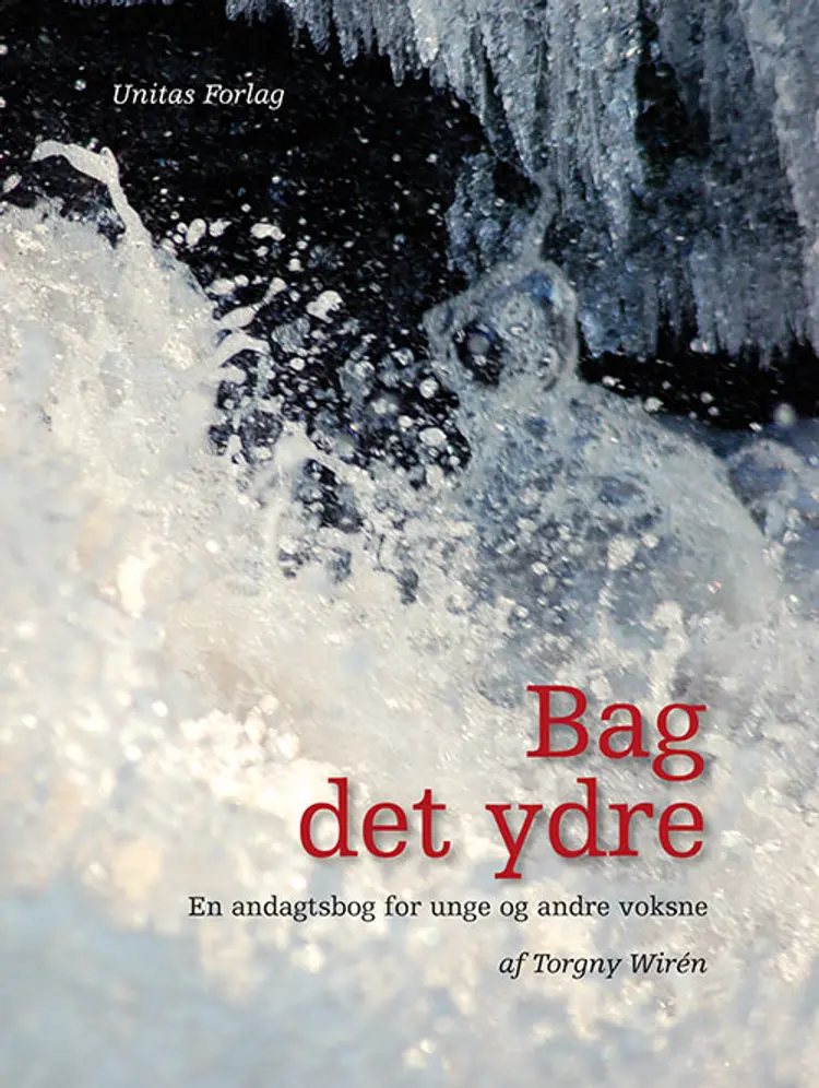 Bag det ydre af Torgny Wirén