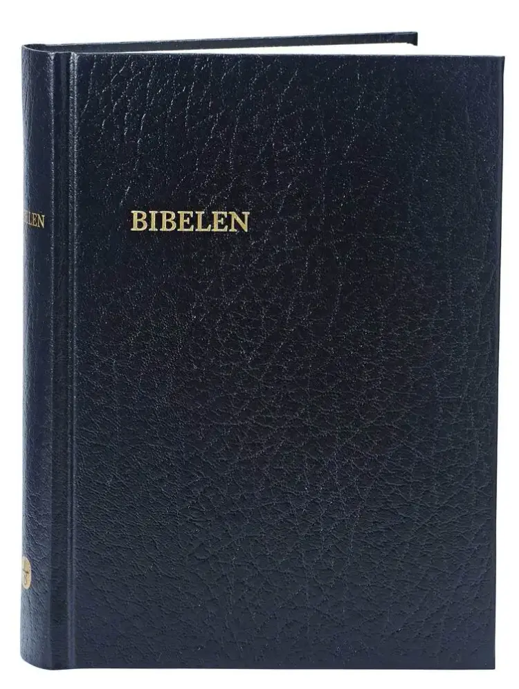 Bibelen af Berit Vedelsby