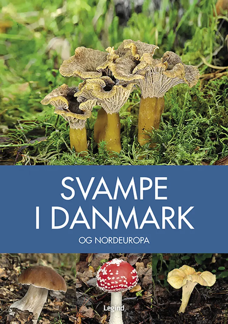 Svampe i Danmark af Josephine Bacon