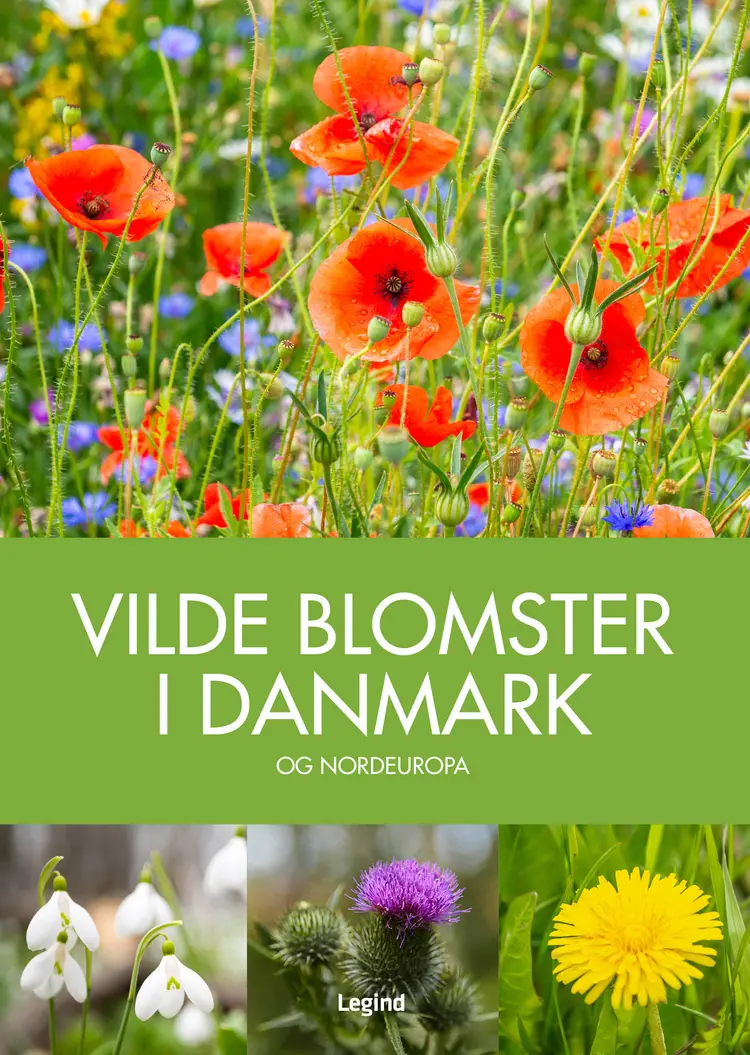 Vilde blomster i Danmark af Andrew Cleave