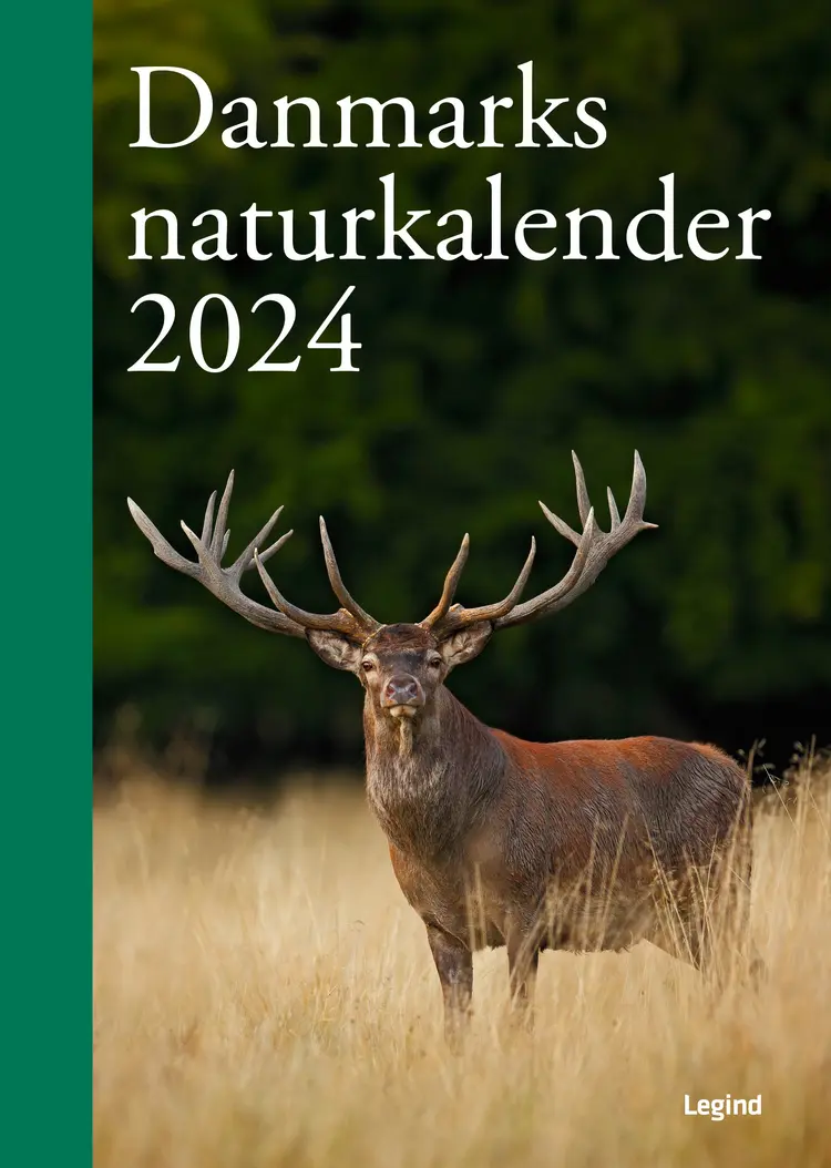 Danmarks Naturkalender 2024 af Søren Olsen