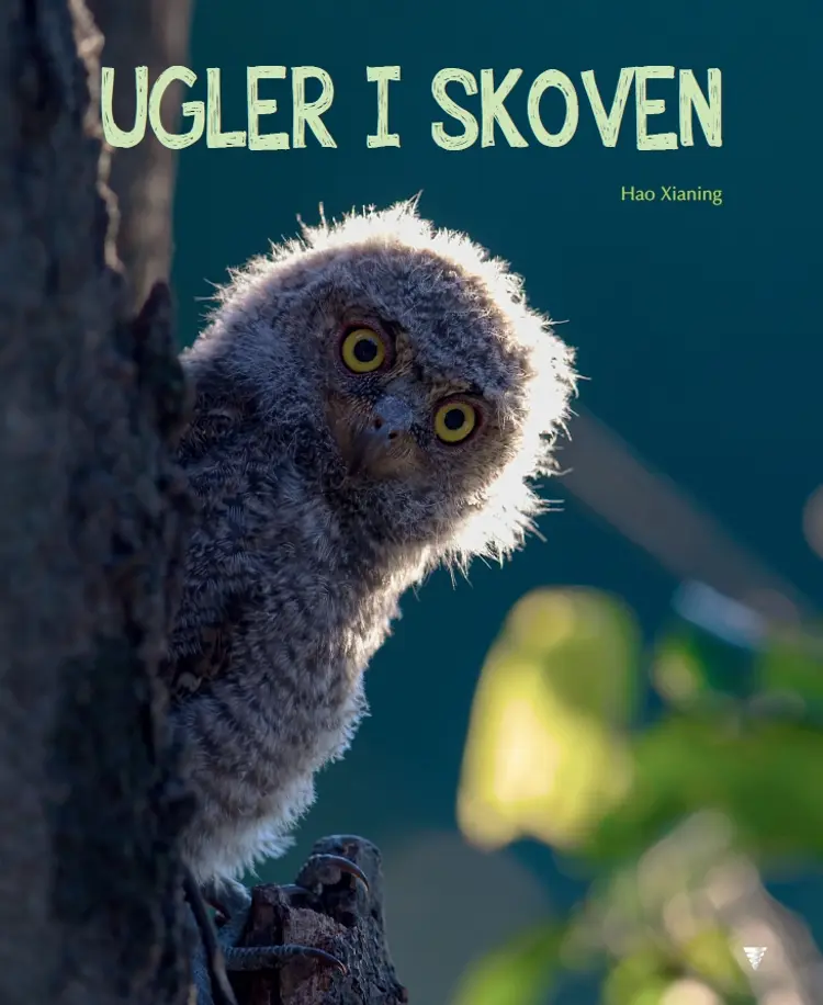 Ugler i skoven af Hao Xianing