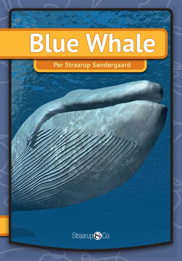 Blue whale af Per Straarup Søndergaard