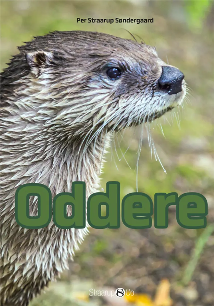 Oddere af Per Straarup Søndergaard