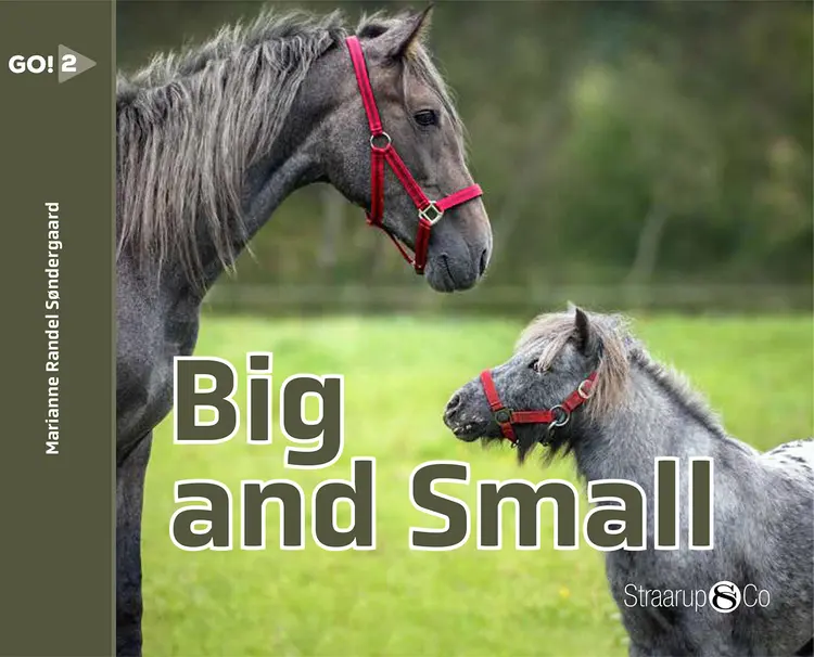 Big and Small af Marianne Randel Søndergaard