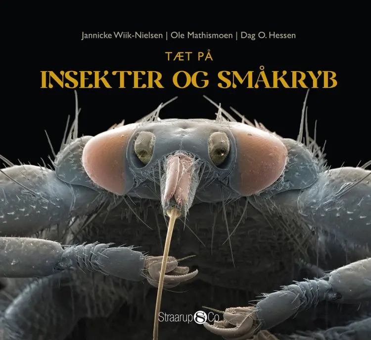 Tæt på insekter og småkryb af Dag O. Hessen