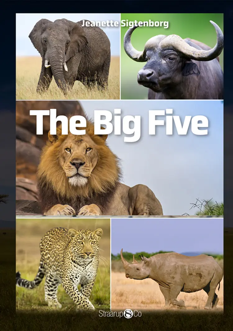 The Big Five af Jeanette Sigtenborg Rasmussen