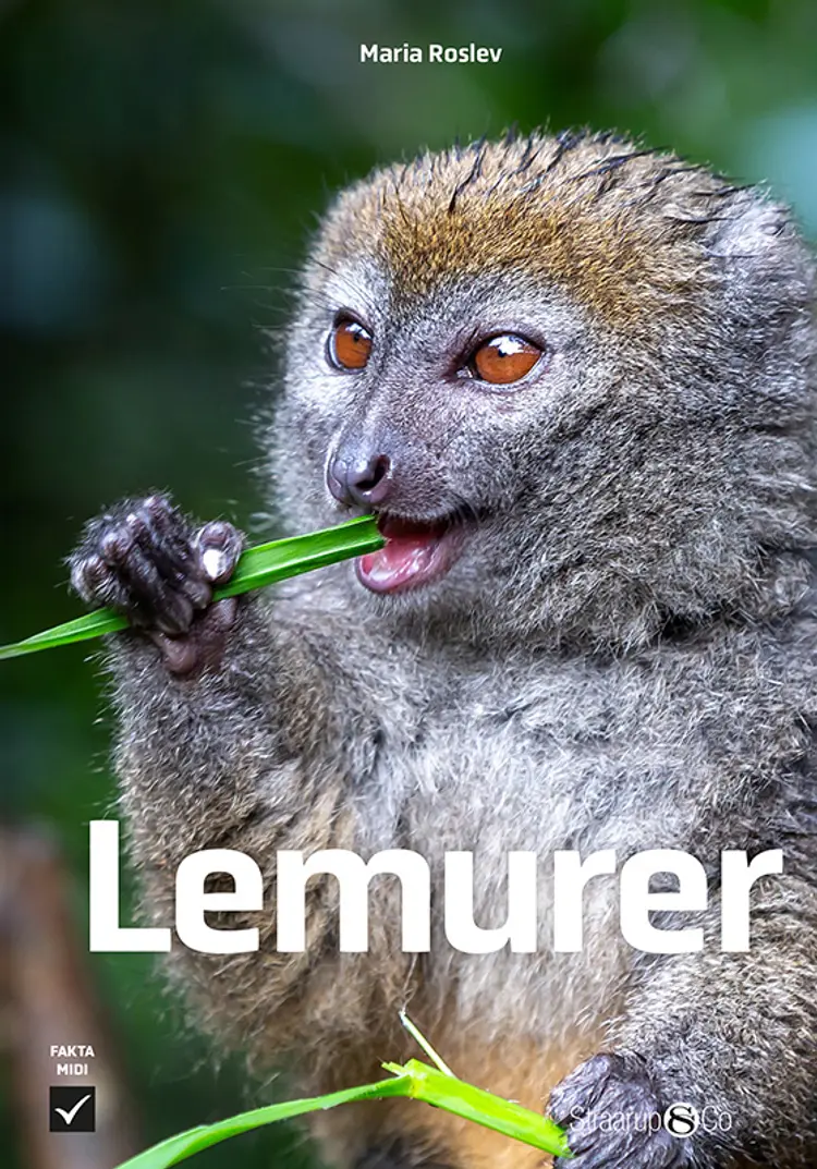Lemurer af Maria Roslev