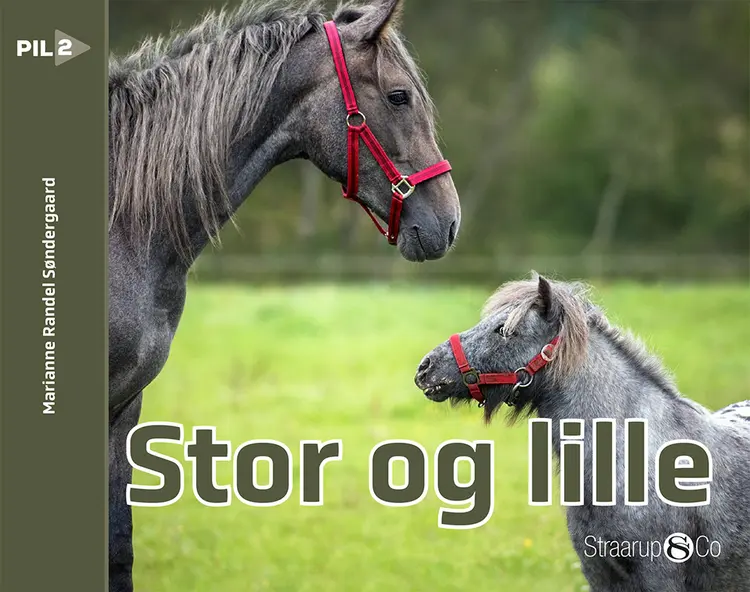 Stor og lille af Marianne Randel Søndergaard