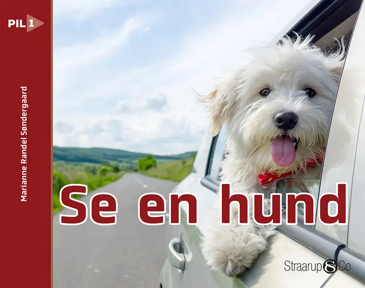 Se en hund af Marianne Randel Søndergaard