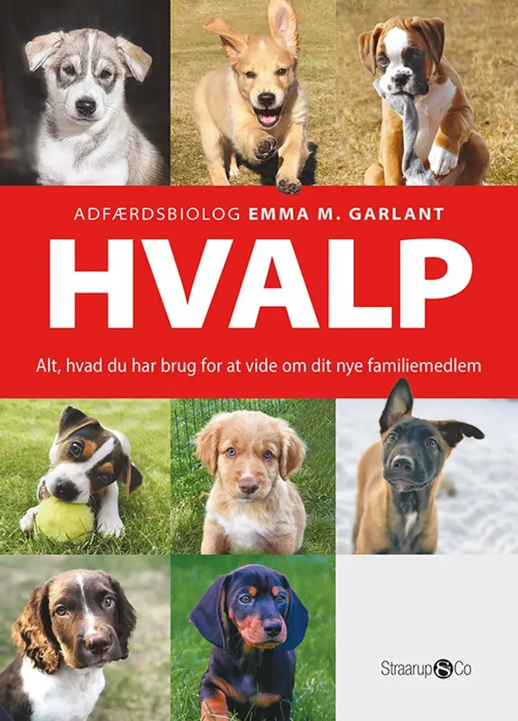 Hvalp af Emma M. Garlant