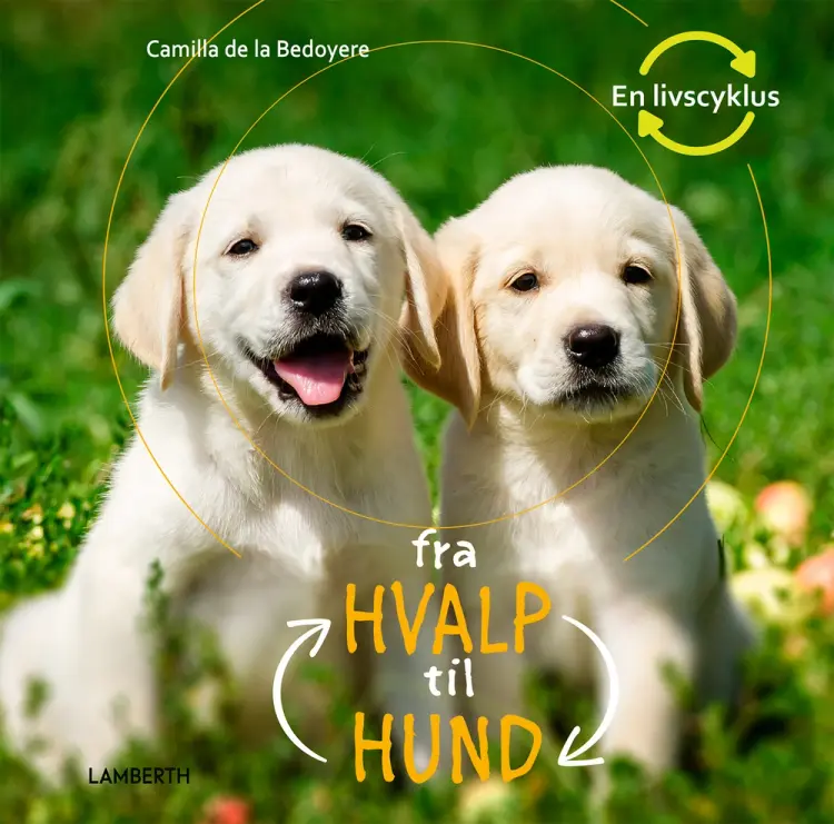 Fra hvalp til hund af Camilla de la Bédoyère