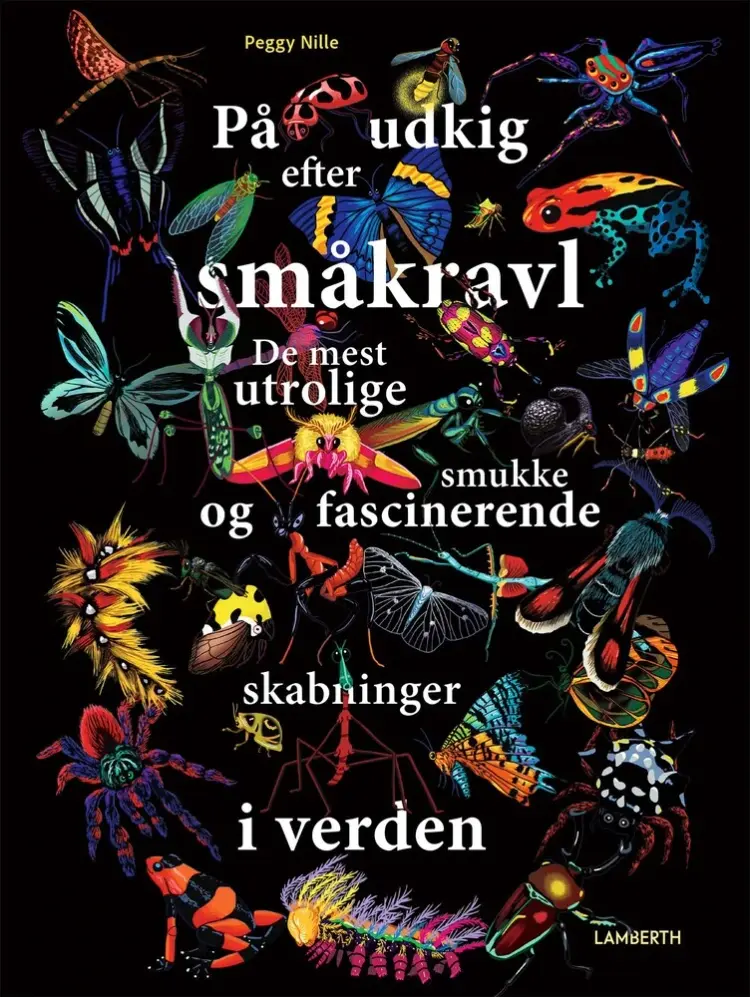 På udkig efter småkravl af Peggy Nille