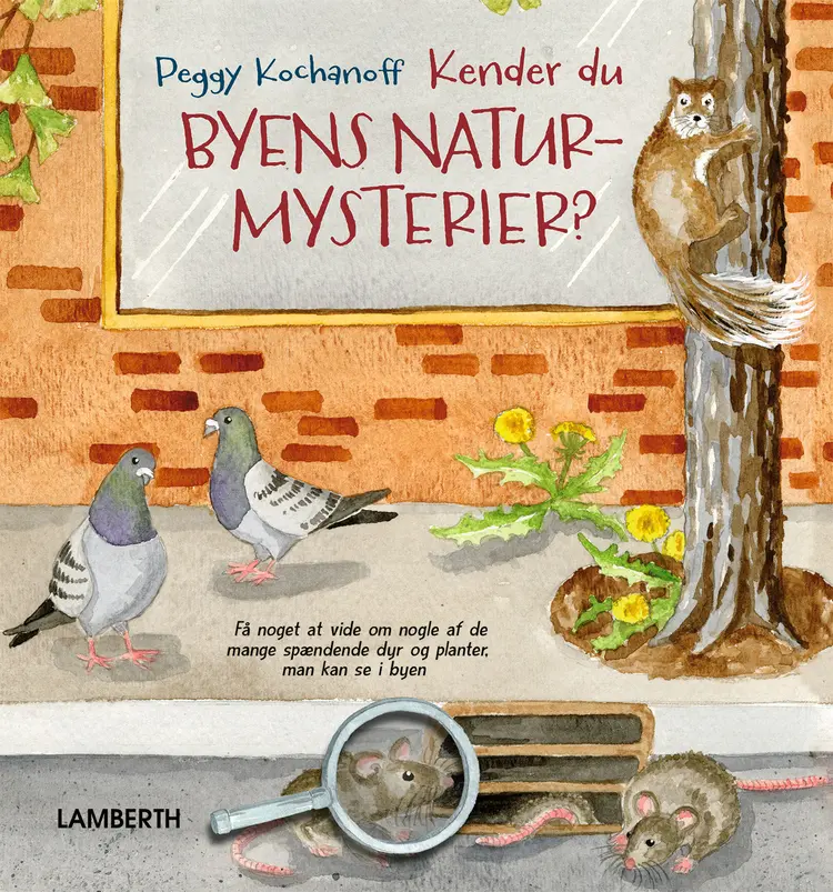 Kender du byens naturmysterier? af Peggy Kochanoff