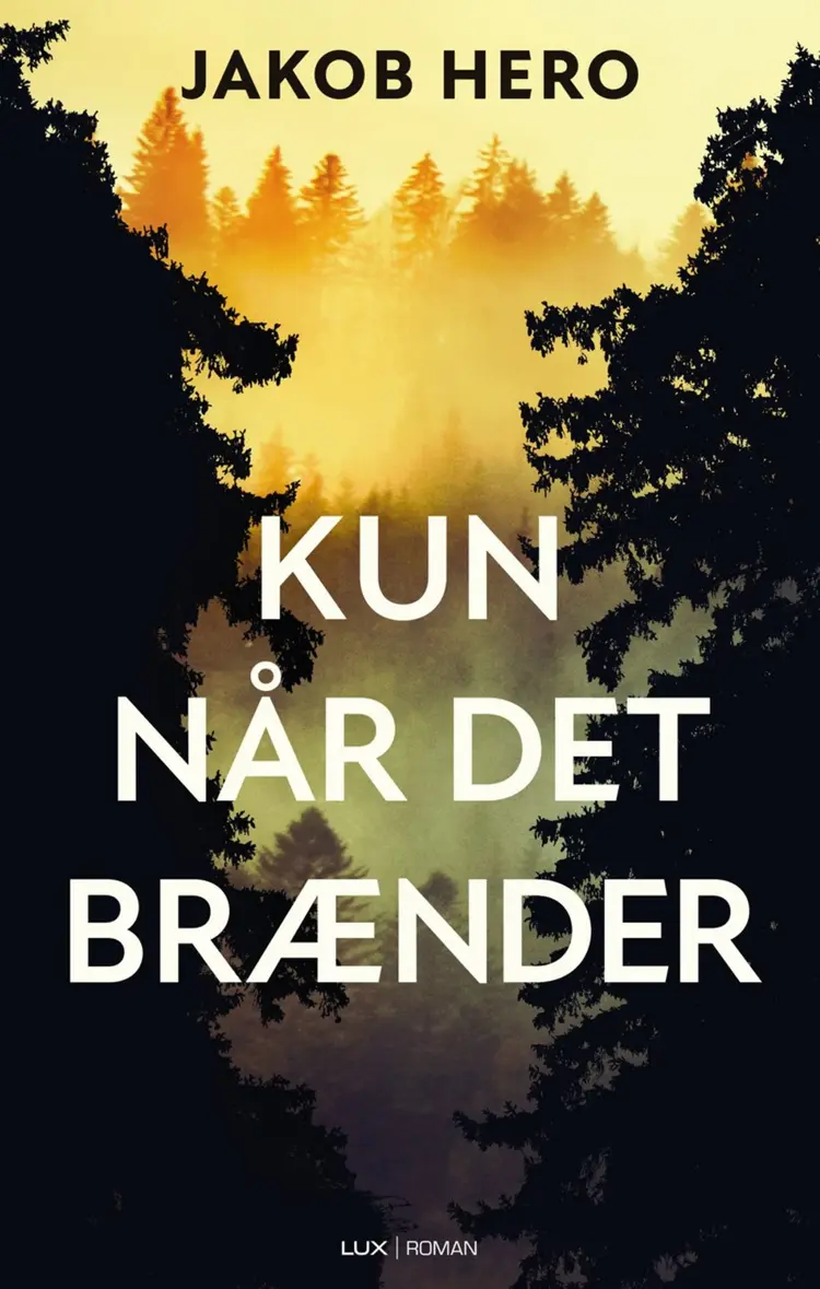 Kun når det brænder af Jakob Hero