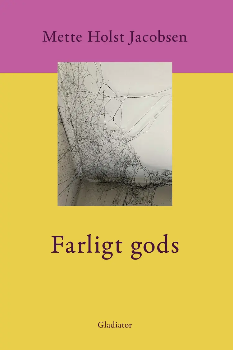 Farligt gods af Mette Holst Jacobsen