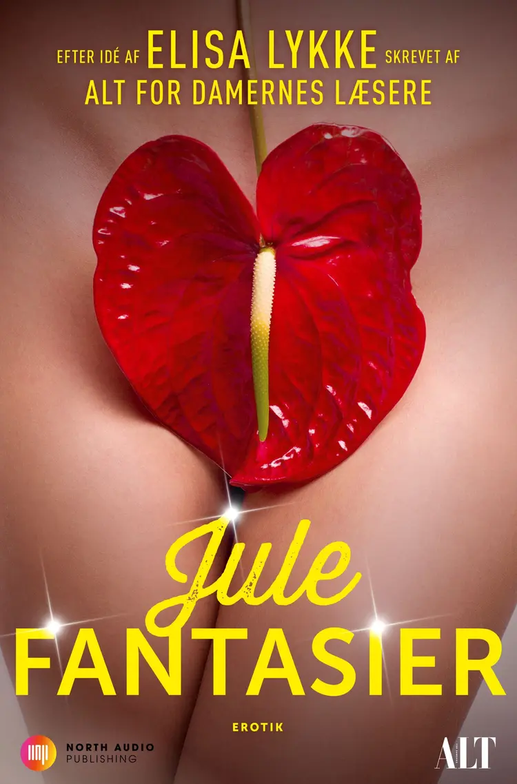 Julefantasier af Dorthe Maja Løwe
