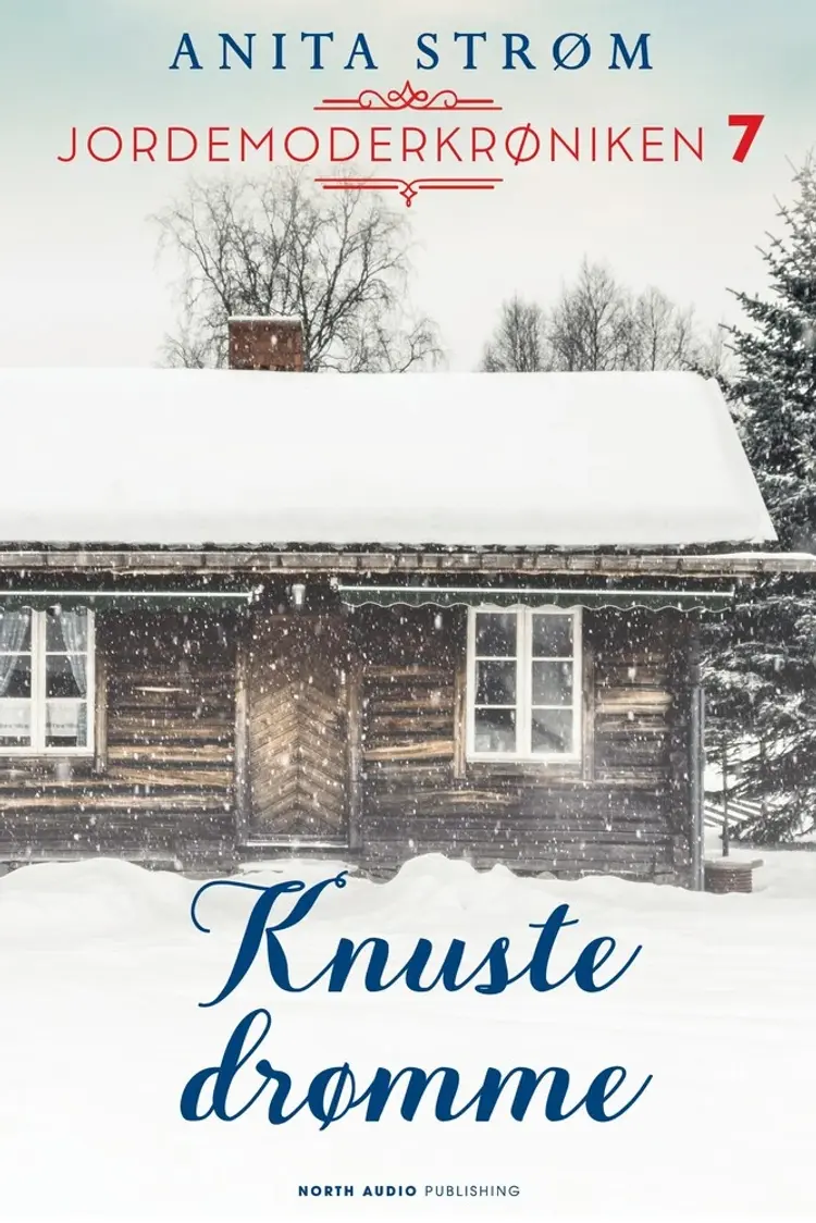 Knuste drømme af Anita Strøm