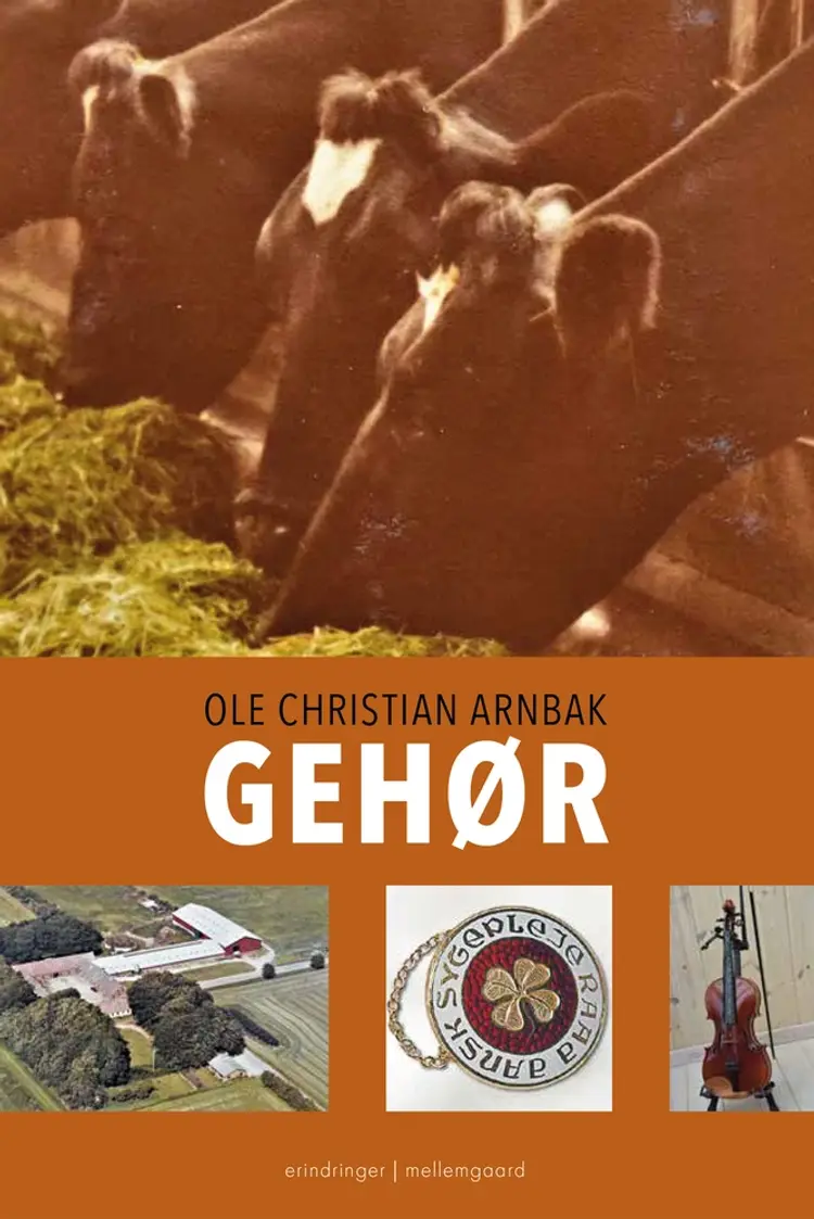 Gehør af Ole Christian Arnbak