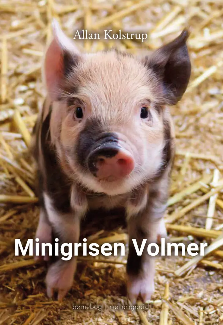 Minigrisen Volmer af Allan Kolstrup