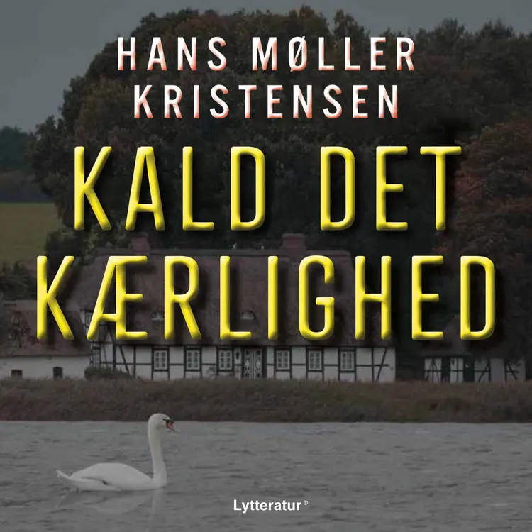 Kald det kærlighed af Hans Møller Kristensen