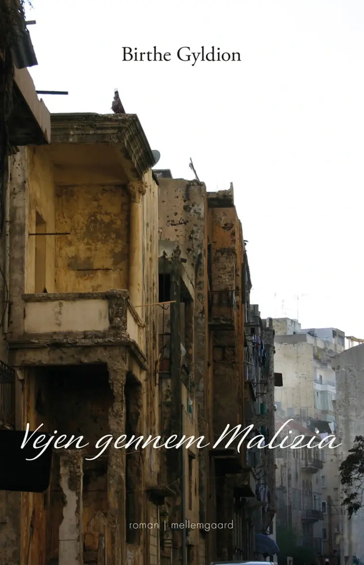 Vejen gennem Malizia af Birthe Gyldion
